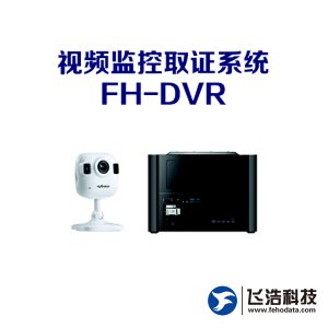 视频监控取证系统FH-DVR/海康/大华/WFS/LINGZHI_系统文件碎片提取_镜像文件扫描
