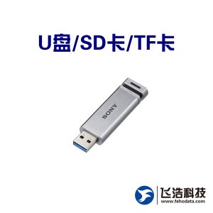 存储介质修复/U盘/SD卡/TF卡_文件修复_密码破解_软件故障